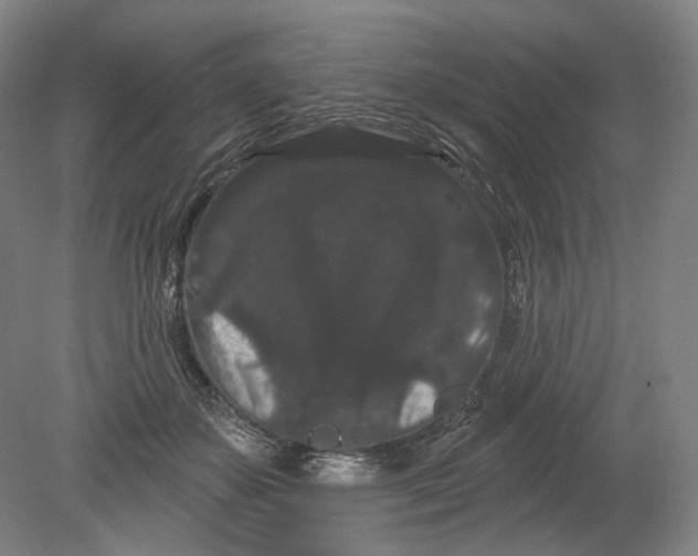 X0000080770507200701051305