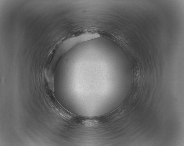 X0000080770508200701051305