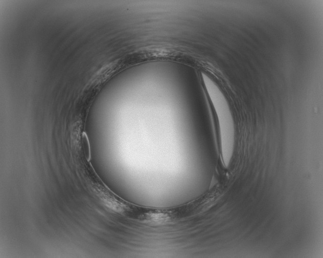 X0000080770509200701051305