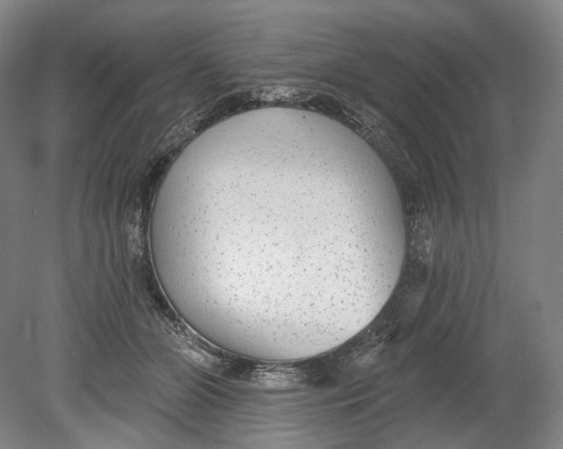 X0000080770510200701051305