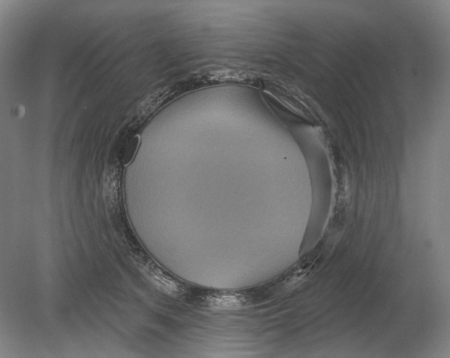 X0000080770513200701051305