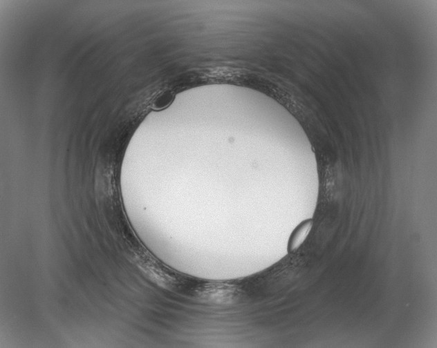 X0000080770514200701051305