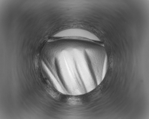 X0000080770515200701051305