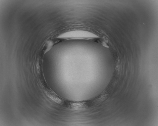 X0000080770516200701051305