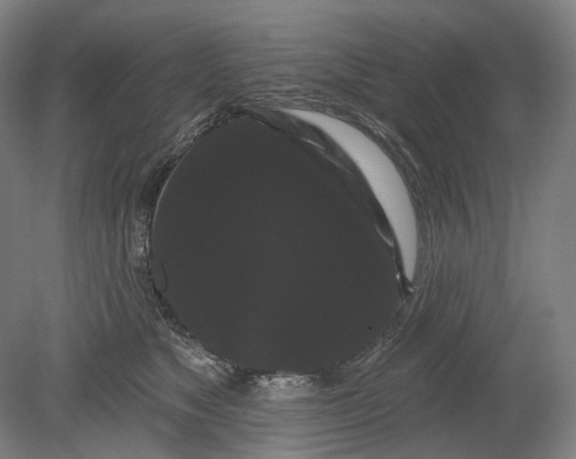 X0000080770517200701051305