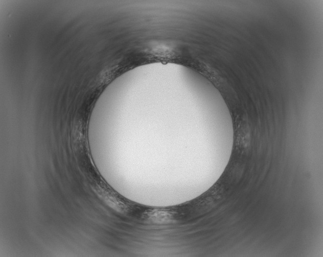 X0000080770518200701051305