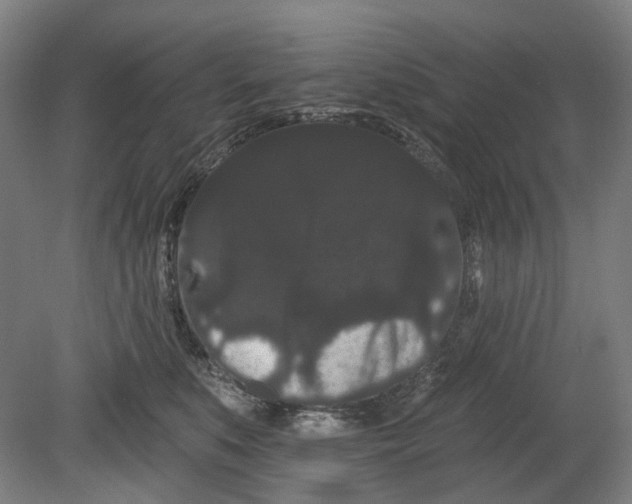 X0000080770519200701051305