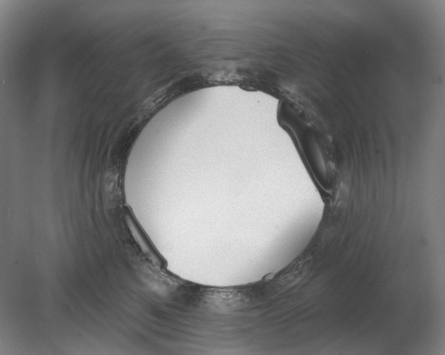 X0000080770521200701051305