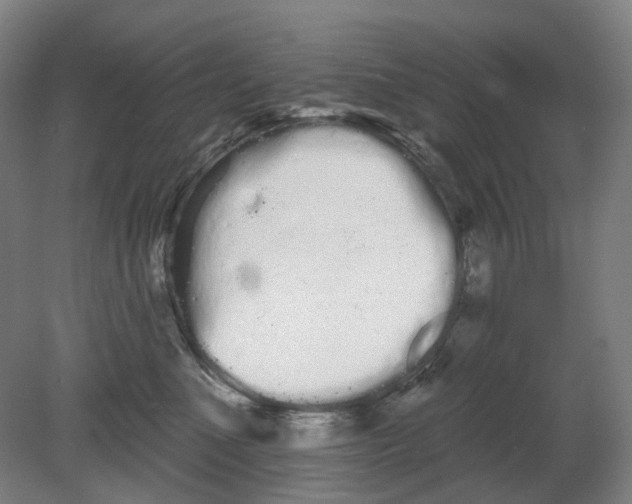 X0000080770523200701051305