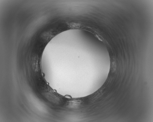 X0000080770525200701051305