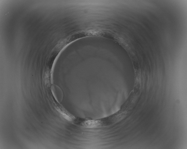 X0000080770526200701051305