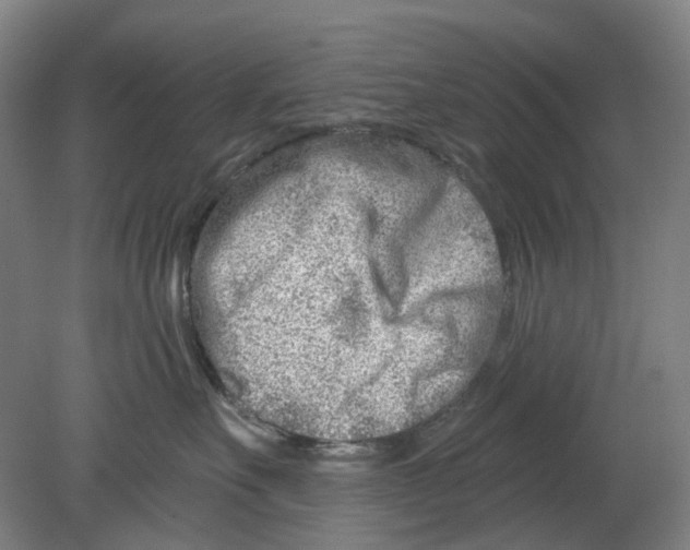 X0000080770527200701051305