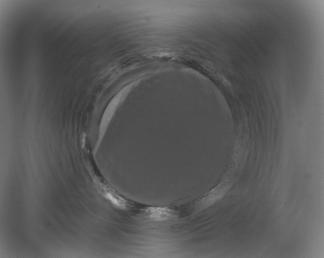 X0000080770528200701051305