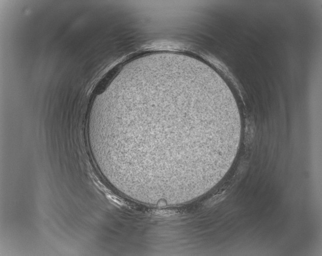 X0000080770529200701051304