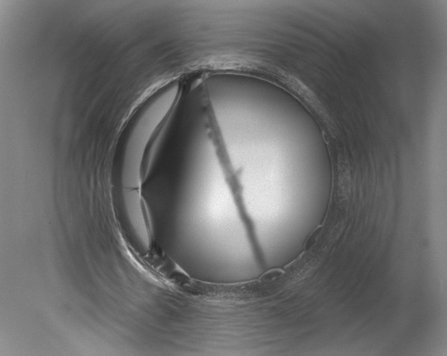 X0000080770530200701051304