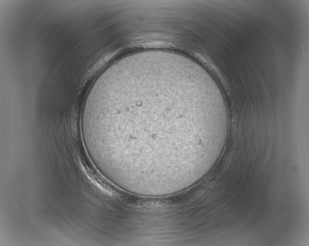 X0000080770533200701051304