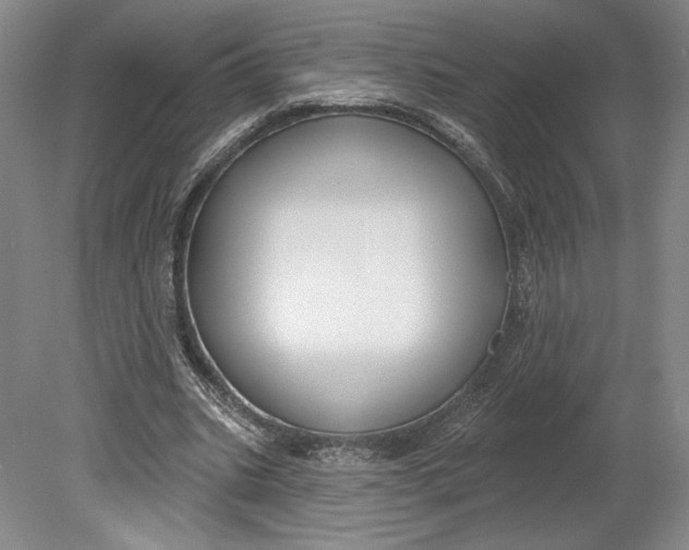 X0000080770535200701051304