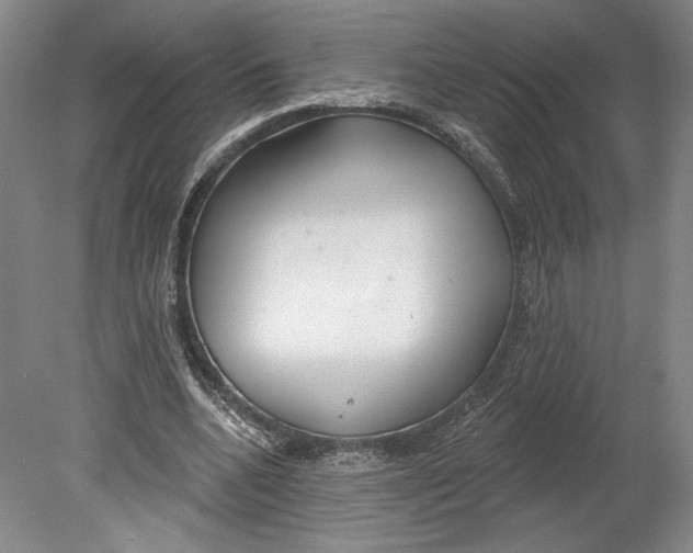 X0000080770536200701051304