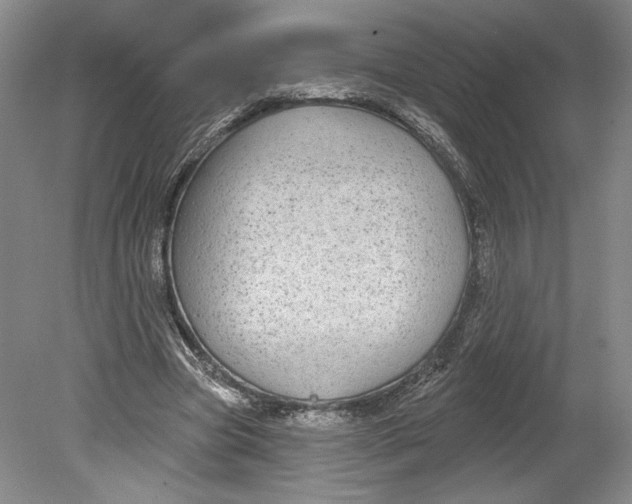 X0000080770537200701051304