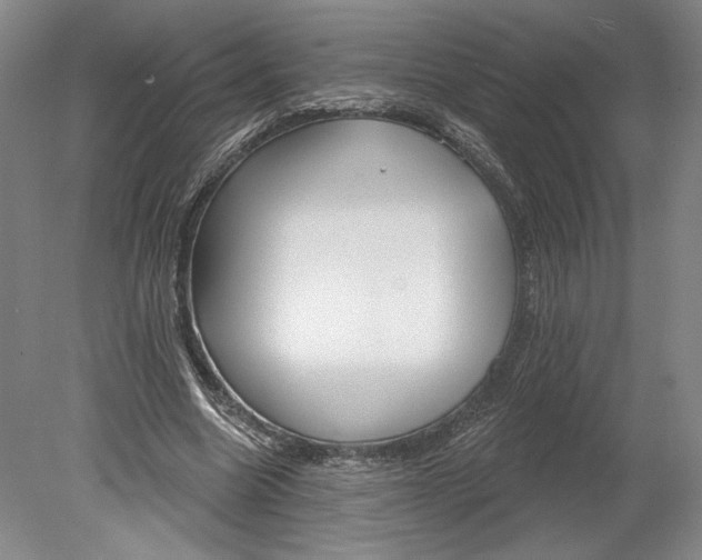 X0000080770538200701051304