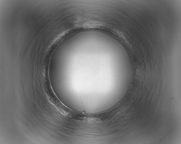 X0000080770539200701051304