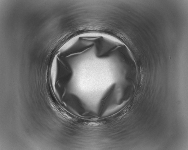 X0000080770542200701051304