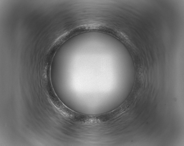 X0000080770543200701051304