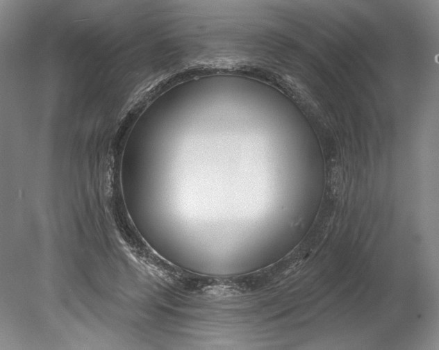 X0000080770544200701051304