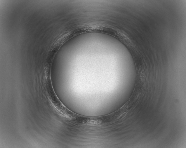 X0000080770546200701051304