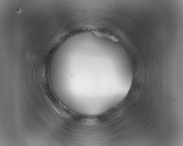 X0000080770548200701051304