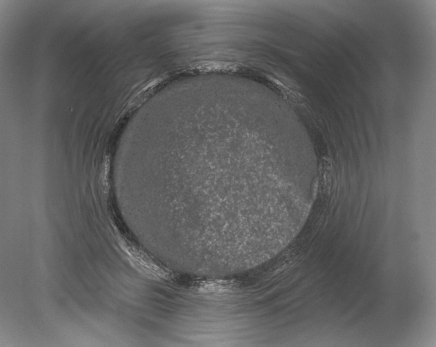 X0000080770550200701051304