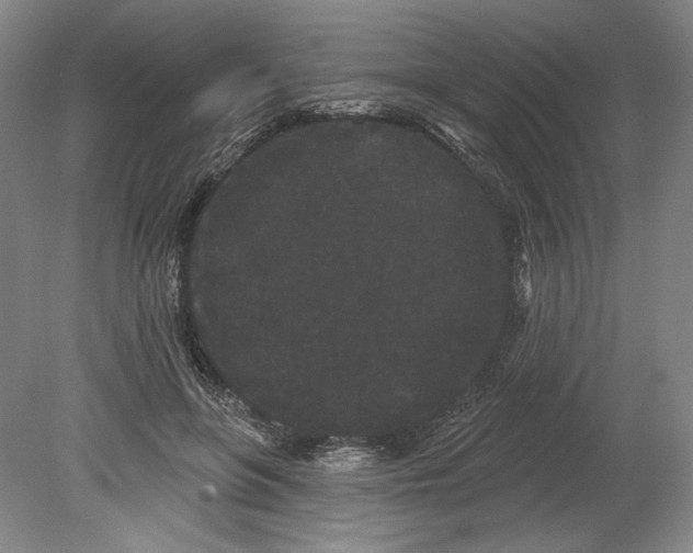 X0000080770551200701051304