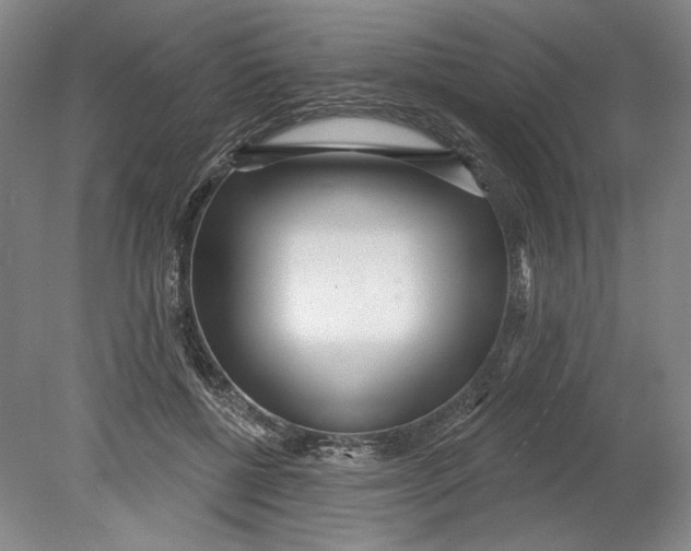 X0000080770552200701051304