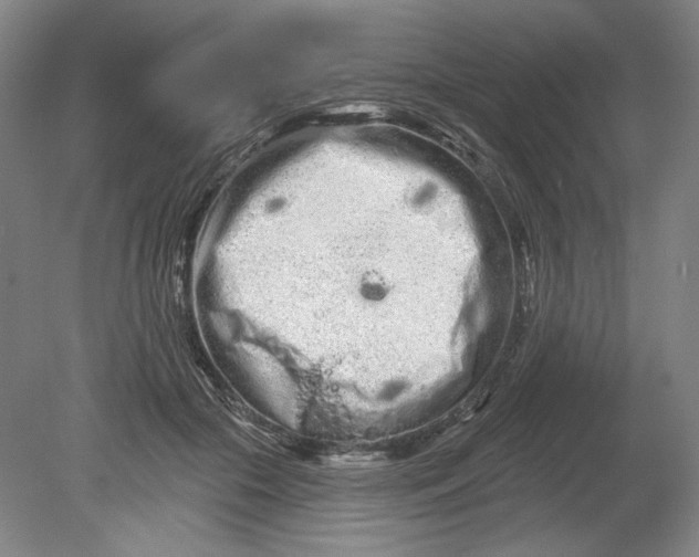 X0000080770553200701051304