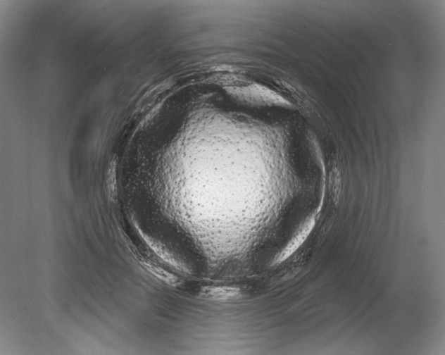 X0000080770554200701051304