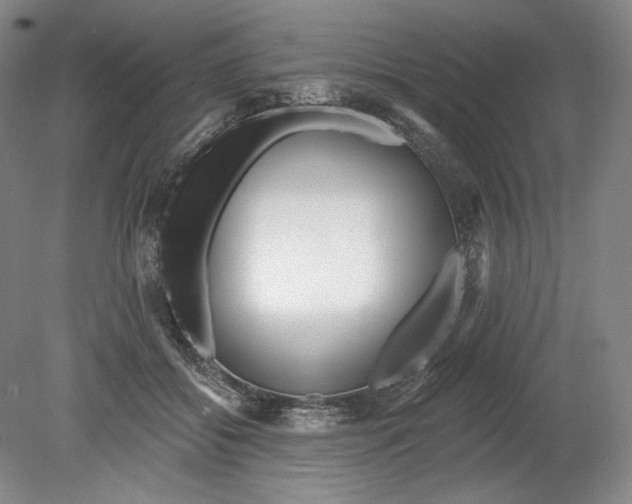 X0000080770556200701051305