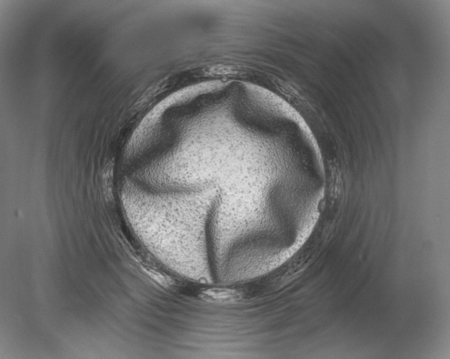 X0000080770557200701051305