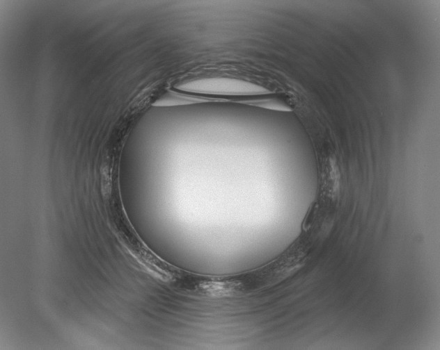 X0000080770558200701051305