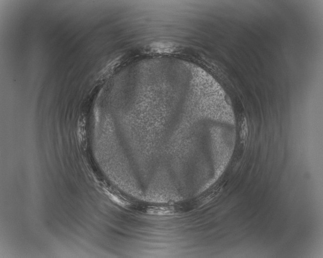 X0000080770559200701051305