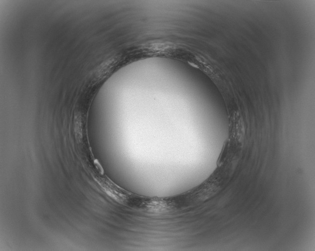 X0000080770562200701051305