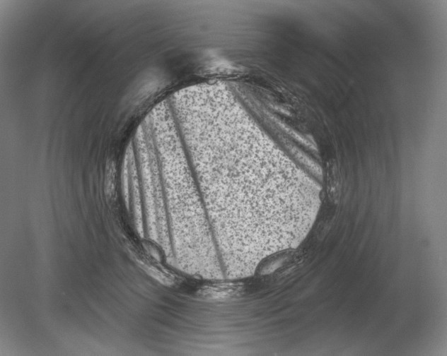 X0000080770563200701051305