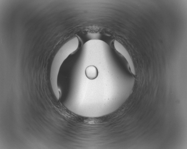 X0000080770564200701051305