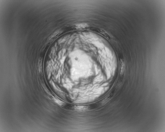 X0000080770565200701051305