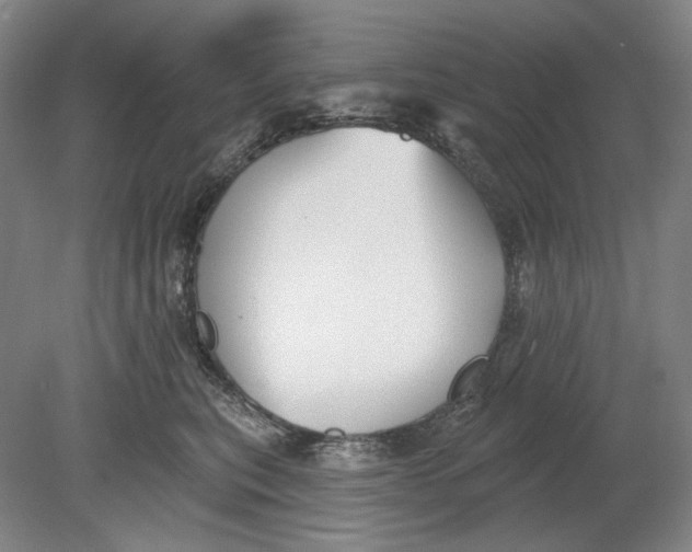 X0000080770567200701051305