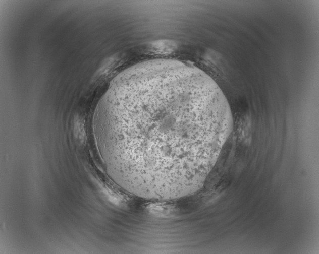 X0000080770568200701051305