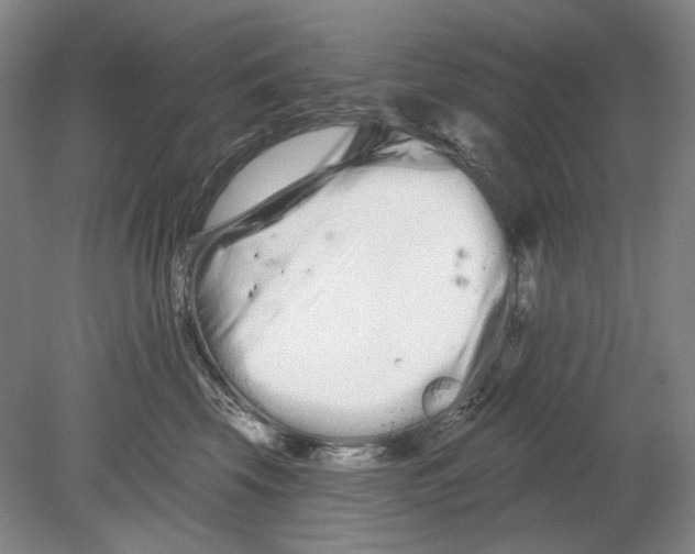 X0000080770569200701051305