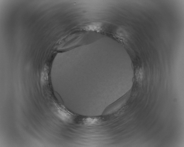 X0000080770570200701051305