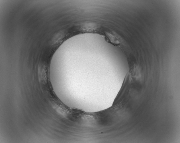 X0000080770572200701051305