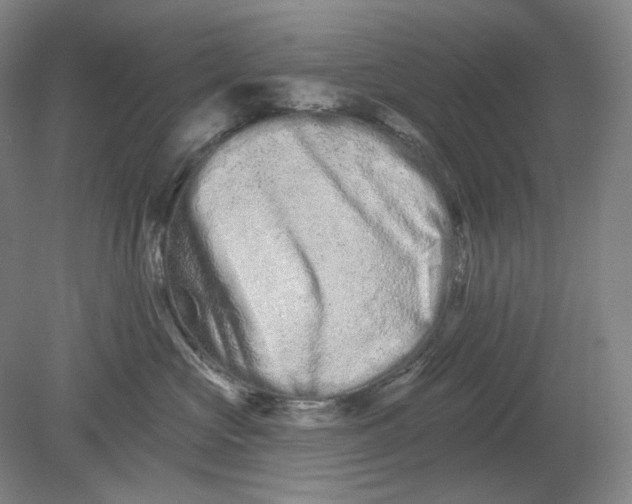 X0000080770573200701051305