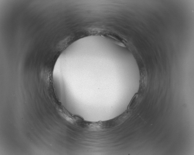 X0000080770574200701051305